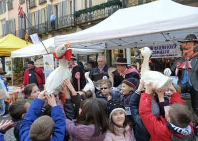 Foto festa dell'albero 2015 a Crema