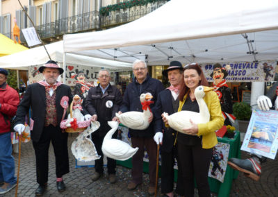 Foto festa dell'albero 2015 a Crema